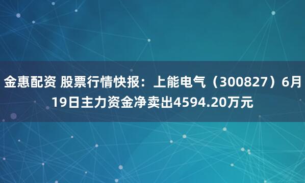 金惠配资 股票行情快报：上能电气（300827）6月19日主力资金净卖出4594.20万元