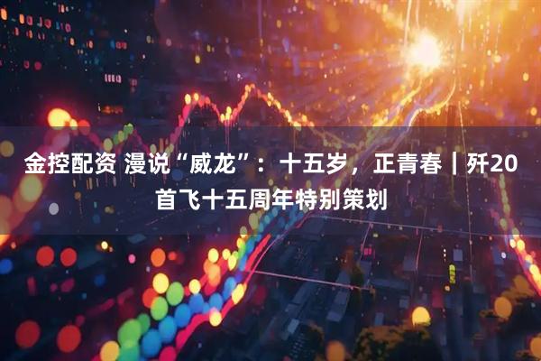 金控配资 漫说“威龙”：十五岁，正青春｜歼20首飞十五周年特别策划