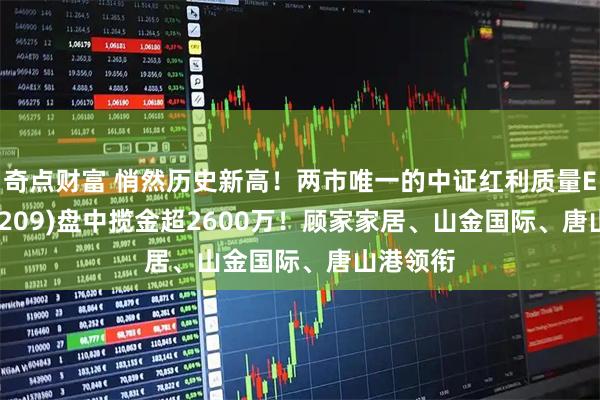 奇点财富 悄然历史新高！两市唯一的中证红利质量ETF(159209)盘中揽金超2600万！顾家家居、山金国际、唐山港领衔