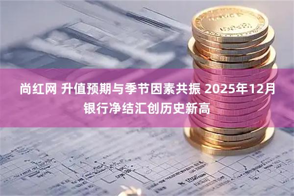 尚红网 升值预期与季节因素共振 2025年12月银行净结汇创历史新高