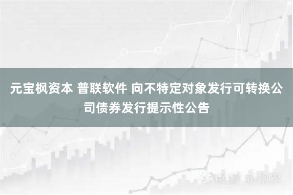 元宝枫资本 普联软件 向不特定对象发行可转换公司债券发行提示性公告