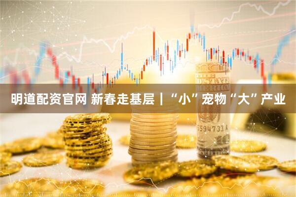 明道配资官网 新春走基层｜“小”宠物“大”产业