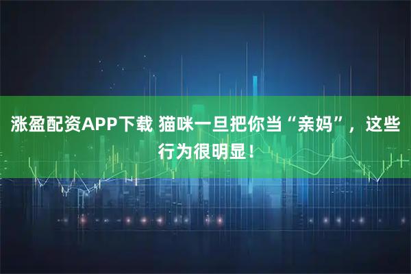 涨盈配资APP下载 猫咪一旦把你当“亲妈”，这些行为很明显！