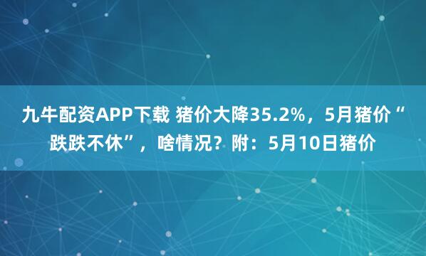 九牛配资APP下载 猪价大降35.2%，5月猪价“跌跌不休”，啥情况？附：5月10日猪价